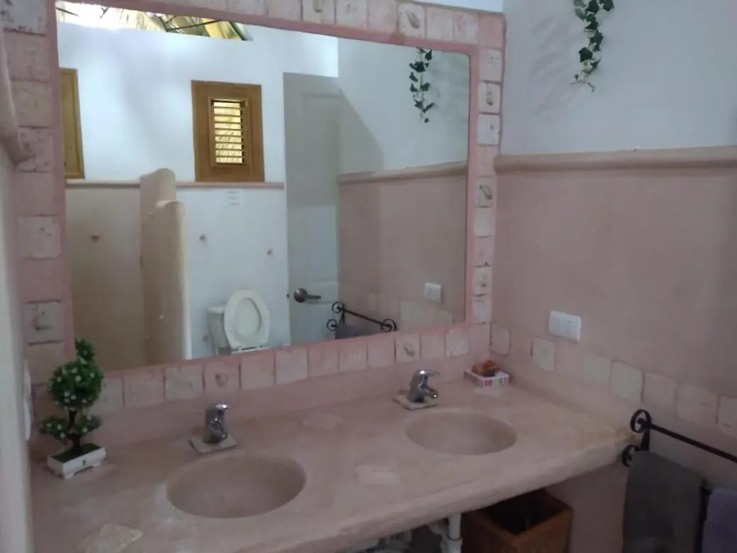 别墅 拉斯特拉纳斯Casa Flamingo别墅 多米尼加共和国