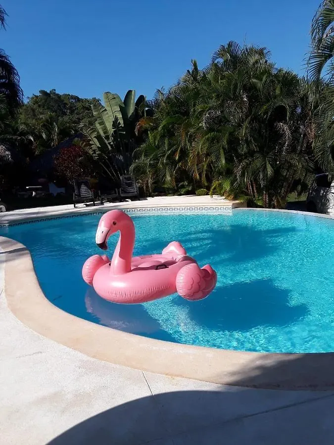 拉斯特拉纳斯Casa Flamingo别墅 多米尼加共和国